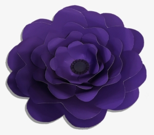 Flower Shaped Reef For The Purplr Lover In You - Dahlia