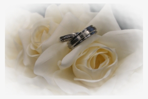 Wedding Rings With Flowers Png Contat Success 600×400 - Wedding Ring With Flower Png