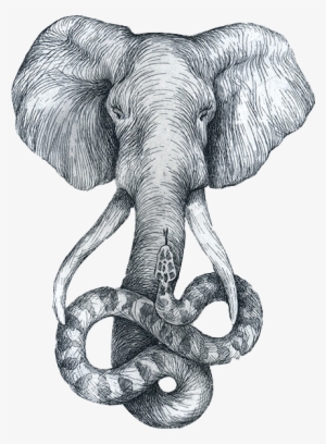 Jpg Black And White Elephant Sketch Headed Snake - Elefante Sketch