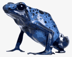 Png Royalty Free Library Poison Dart Clipground - Poison Dart Frog Png