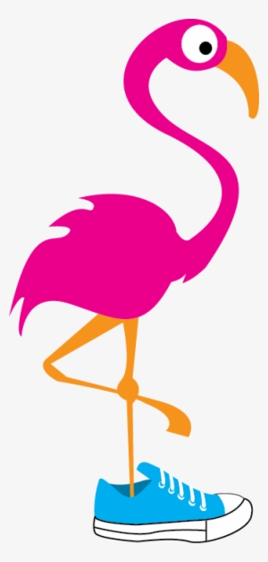 running flamingo - flamingo 5k