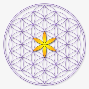 University Of Metaphysical Sciences Logo