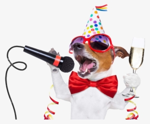 Nye Dog Party Copy - Happy Birthday Dog Jack Russell
