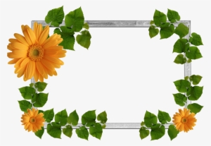 Leaf Frame Png Photos - Farxada Nolosha