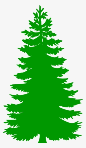 Winter Pine Trees Clipart Pine Tree Clip Art1 Png - Pine Tree Vector Png