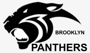 Brooklyn Panthers - Illustration