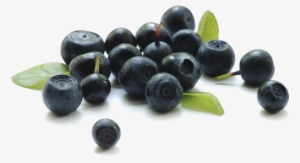 Blueberry Transparent Background - Berries Png