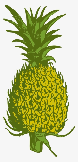 Big Image - Green Pineapple Art Clip