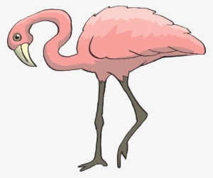 Curious Clip Art At Clker Com Vector - Warna Burung Flamingo