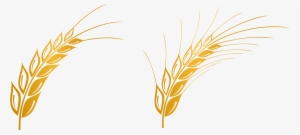 Wheat Vector Free - Wheat Vector Png