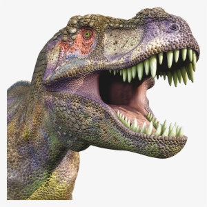 Dinosaur Png - T Rex Head Transparent Background