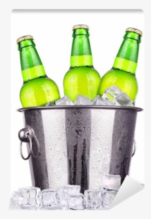 Beer Bottles In Ice Bucket Isolated Wall Mural • Pixers® - Beer Bottles In Bucket