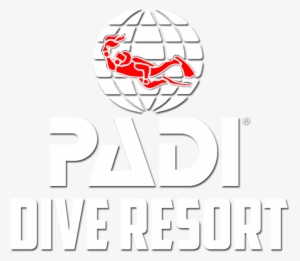 diving sapphire beach resort - professional association of diving instructors