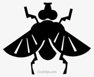 House Fly Royalty Free Vector Clip Art Illustration - Amphibians