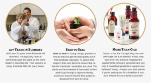 Why Essential Oils