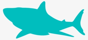 Tubarão Vetor Png