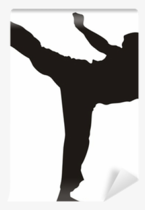 Karate Fighter Kicking - Happy Birthday Martial Arts