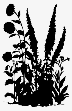 Flowers 15 Silhouette - Fern Silhouettes Png