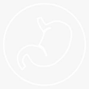 Git Icon@4x - Illustration