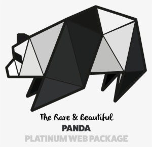 Paper Voice, Oragami, Web, Graphic, Logo, Branding, - Panda Graphic Design