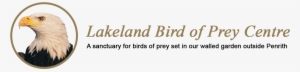 Lakeland Bird Of Prey Centre - Tea