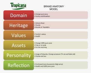 The Following Brand Anatomy Models Will Help Us To - Brand Anatomy Model
