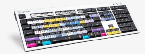 Cinema 4d Shortcut Keyboard - Computer Keyboard