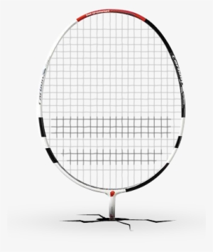 Badminton Racket String Style