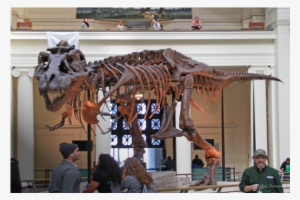 Field Museum Of Natural History