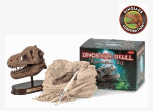 Stimulate Your Child's Mind With A Dino Dig - Geocentral Excavation Dig Kit Dino Skull