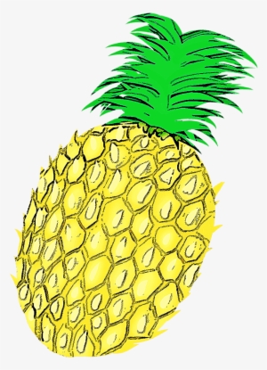 Com Wordpress Wp Content Uploads Pineapple Illust13 - Drawing