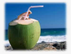 Coconut Water Introduction - Juice Coconut
