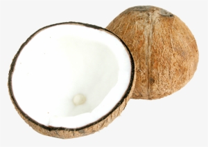 Free Png Two Half Coconut Png Images Transparent - Half Coconut Png
