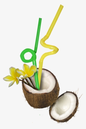 Coconut Drink - Coconut