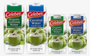 It Is Actually The Juice Found Inside A Fresh Coconut - Celebes Coconut Corporation