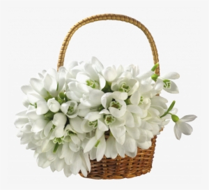 Tree, Plants & Flower - White Flower Basket Png