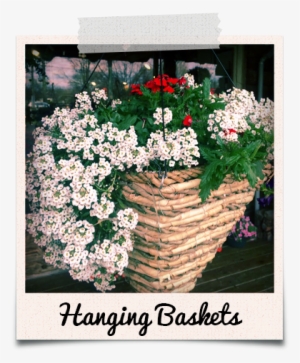 Flowers In Basket From Powers Farm Market - Remember To Turn On The Light Poster 13 X 19in