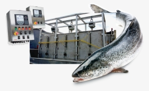 Commercial Fishing 920i Flexweigh - Commercial Fishing