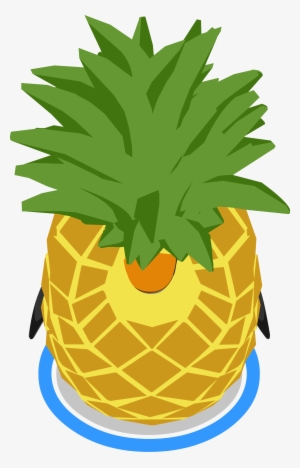 Pineapple Costume In Game - Portable Network Graphics