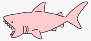 Stickers Edit Edits Png Head Face Pic Photo Transparent - Shark Png