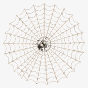 Freebie Spider Web Element - Spider Web Design