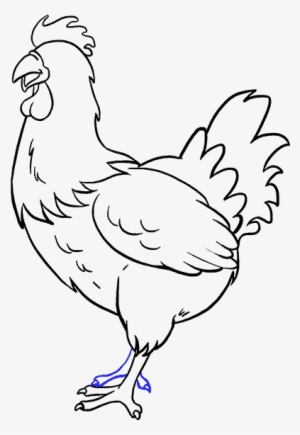 How To Draw Chicken - Drawing