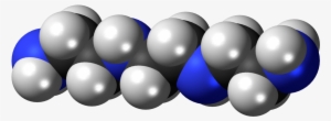Global Triethylenetetramine Market - Triethylenetetramine Teta