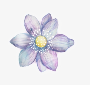 Purple White Petals Transparent Decorative - Flower