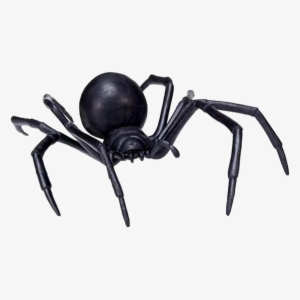 Black Spider Png Transparent Image
