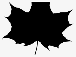Canada Maple Leaf Png Transparent Images - Maple Leaf Silhouette