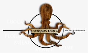 About - Octopus