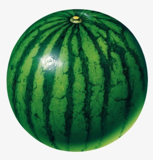 Water Melon - Green Color Fruits And Vegetables
