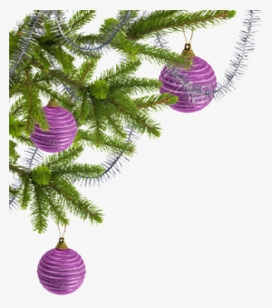 Tree And Ornaments - Transparent Christmas Photo Corner