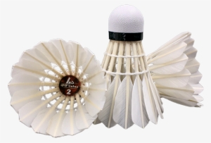 3 - Badminton